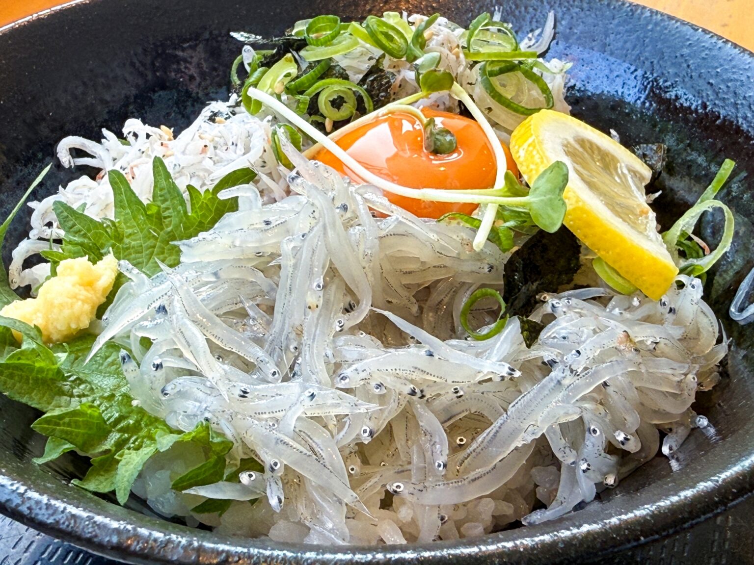 神奈川のしらす丼|旬はいつ?生しらすの魅力とおすすめ店を紹介 | 日本の郷土料理図鑑